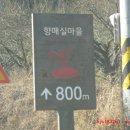 계월농장 Daum카페