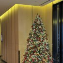 호텔 누리다 | [서울/광화문] 광화문 포시즌스 호텔 누리볼룸홀 하객후기