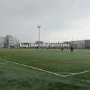 진부체육공원 인조잔디구장 | 시흥 MTV인조잔디구장 후기 예약, 요금, 구장 크기까지 총정리