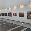 배곧도서관 이미지