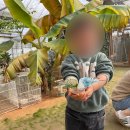 흙놀이 | 파주 아이랑 갈만한 곳, 나눔농장 재방문 후기(흙놀이가 1등)