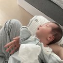 서포터 | 산후 손목보호대 반테린서포터 후기
