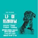 나이트레이닝 네이버블로그
