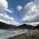 포메리카노 이미지