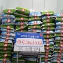 합천상사 이미지