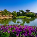 수원-0437 Daum카페