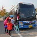 한국민속촌유스호스텔 이미지