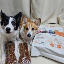 더 독 | (강아지 사료 추천)더독앤캣 닥터소프트 NEW라인업! 비프사료 급여 후기