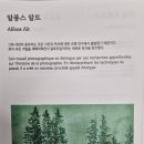 아트스페이스엑스 이미지