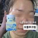 루크 | 오블루크림 스킨케어 후기 트러블 진정 수분크림 추천 💙
