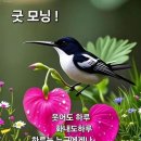 하나로아파트 네이버블로그
