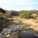 보헤미안펜션 이미지