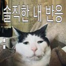 성우약국 | 死ぬまでに食べよう