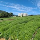 세계거석 테마파크 이미지