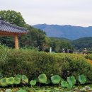 상림관리사 이미지