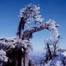 우리들세상 이미지