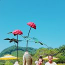 1등 석사경희대태권도장 이미지