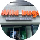 우리는 역사 탐험대 | 인천 와일드 벅스 곤충탐험대 다녀왔어요.(주차장, 체험정보)