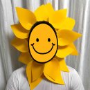 해바라기1 태양광발전소 이미지