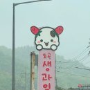도곡생과일모찌