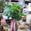 상신상사 이미지