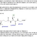 Re: 대량 무기질 &#39;황 sulfate&#39;에 대하여 이미지