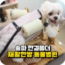 한걸음더 재활한방 동물병원 이미지