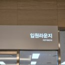 선동물병원 | 세종 충남대학교병원 여성센터 산부인과 제왕절개 출산 및 근종 제거 후기 (2025년 12월)