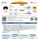 카투샤