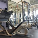 휘트니스 베이직 이미지