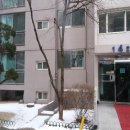 경기도 수원시 팔달구 권광로317번길 이미지