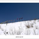 케논목장 이미지