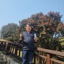 꽃숲 이미지