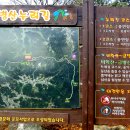 금병산 누리길 이미지