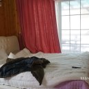 백담독채 물가에펜션 이미지