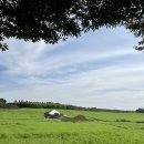 상몽농장 이미지