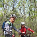 천북목장 이미지