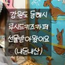 루시드키즈카페 이미지