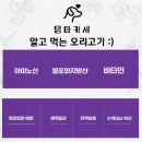 댕마카세 이미지