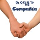 꼼빠니아대전 이미지