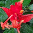 양지로5C 이미지