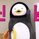 펀키즈 유치원 이미지