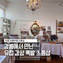 마젤헤어 - 춘천시 | 강릉여행 필수코스 르봉마젤 소품샵 | 유럽 감성 가득한 4층짜리 핫플