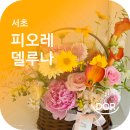 피오레델루나