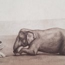 연승열헤어클럽 이미지