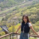 꽃길꽃담나들이 전시회 | 2026 화담숲 수선화축제｜4월 중순 꼭 가야 하는 이유, 할인꿀팁(LG유플러스)