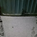 국수와김밥 이미지