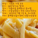 선흘초등학교 이미지