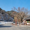 묘 미 앤 이미지