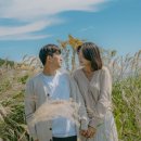 고프빌리 이미지